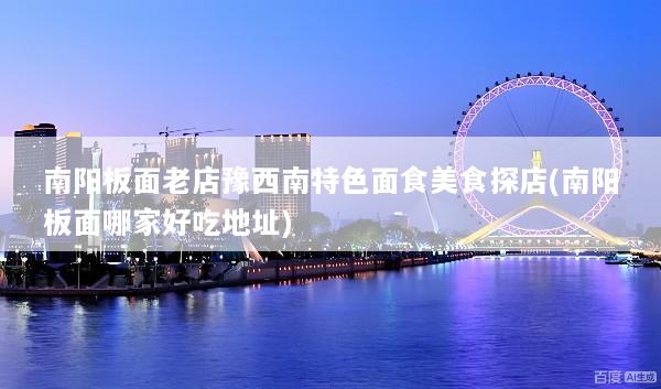 南阳板面老店豫西南特色面食美食探店(南阳板面哪家好吃地址)