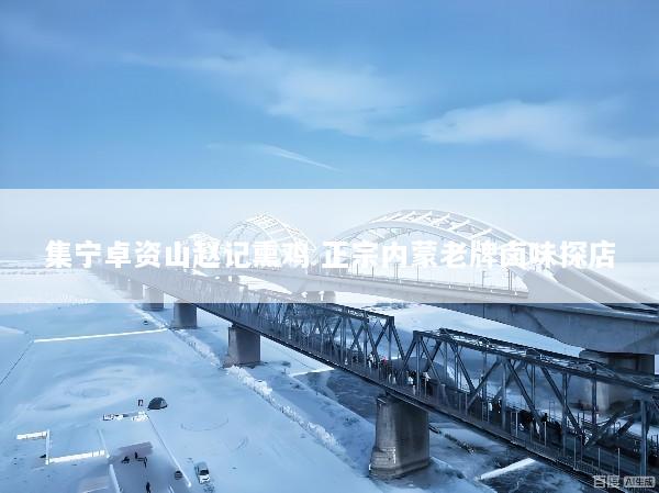 集宁卓资山赵记熏鸡 正宗内蒙老牌卤味探店