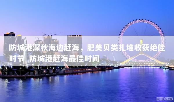 防城港深秋海边赶海，肥美贝类扎堆收获绝佳时节_防城港赶海最佳时间