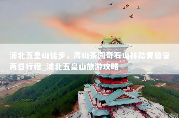 浦北五皇山徒步，高山茶园奇石山林踏青避暑两日行程_浦北五皇山旅游攻略