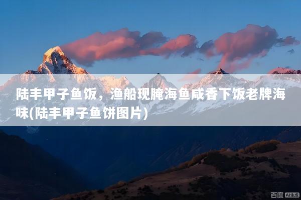 陆丰甲子鱼饭，渔船现腌海鱼咸香下饭老牌海味(陆丰甲子鱼饼图片)