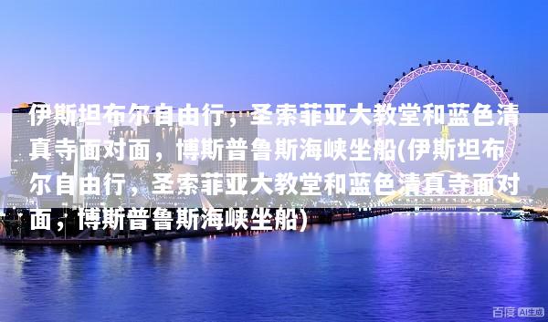 伊斯坦布尔自由行，圣索菲亚大教堂和蓝色清真寺面对面，博斯普鲁斯海峡坐船(伊斯坦布尔自由行，圣索菲亚大教堂和蓝色清真寺面对面，博斯普鲁斯海峡坐船)
