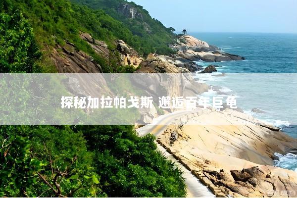 探秘加拉帕戈斯 邂逅百年巨龟