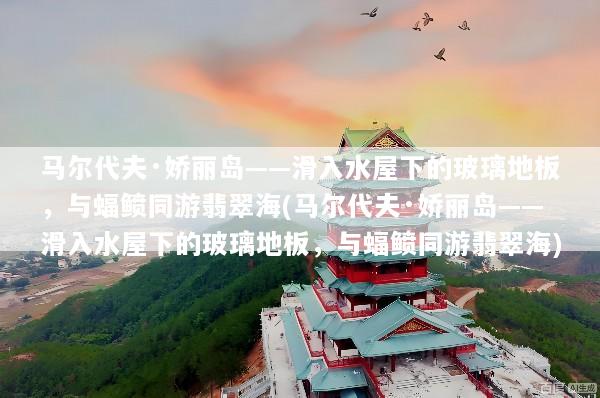 马尔代夫·娇丽岛——滑入水屋下的玻璃地板，与蝠鲼同游翡翠海(马尔代夫·娇丽岛——滑入水屋下的玻璃地板，与蝠鲼同游翡翠海)