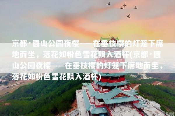 京都·圆山公园夜樱——在垂枝樱的灯笼下席地而坐，落花如粉色雪花飘入酒杯(京都·圆山公园夜樱——在垂枝樱的灯笼下席地而坐，落花如粉色雪花飘入酒杯)