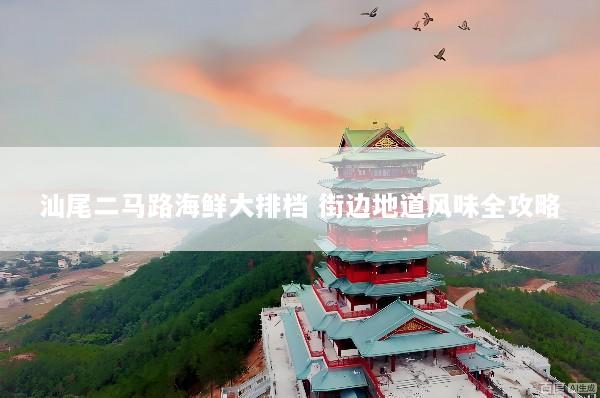 汕尾二马路海鲜大排档 街边地道风味全攻略