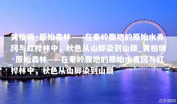 黄柏塬·原始森林——在秦岭腹地的原始水青冈与红桦林中，秋色从山脚染到山巅_黄柏塬·原始森林——在秦岭腹地的原始水青冈与红桦林中，秋色从山脚染到山巅