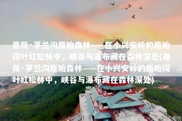 嘉荫·茅兰沟原始森林——在小兴安岭的原始阔叶红松林中，峡谷与瀑布藏在森林深处(嘉荫·茅兰沟原始森林——在小兴安岭的原始阔叶红松林中，峡谷与瀑布藏在森林深处)