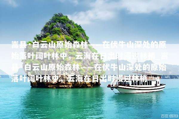 嵩县·白云山原始森林——在伏牛山深处的原始落叶阔叶林中，云海在日出时漫过林梢_嵩县·白云山原始森林——在伏牛山深处的原始落叶阔叶林中，云海在日出时漫过林梢
