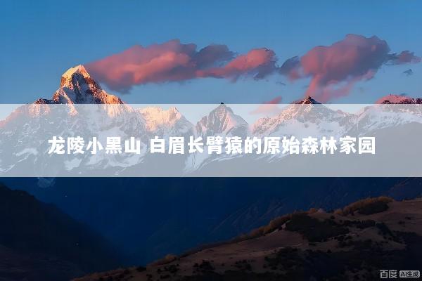 龙陵小黑山 白眉长臂猿的原始森林家园