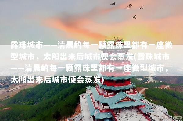 露珠城市——清晨的每一颗露珠里都有一座微型城市，太阳出来后城市便会蒸发(露珠城市——清晨的每一颗露珠里都有一座微型城市，太阳出来后城市便会蒸发)