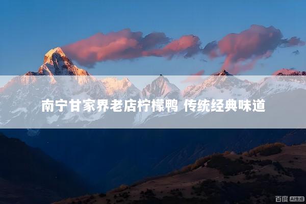 南宁甘家界老店柠檬鸭 传统经典味道
