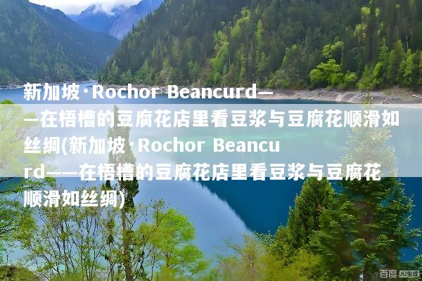 新加坡·Rochor Beancurd——在梧槽的豆腐花店里看豆浆与豆腐花顺滑如丝绸(新加坡·Rochor Beancurd——在梧槽的豆腐花店里看豆浆与豆腐花顺滑如丝绸)