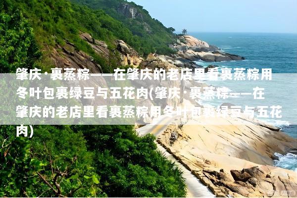 肇庆·裹蒸粽——在肇庆的老店里看裹蒸粽用冬叶包裹绿豆与五花肉(肇庆·裹蒸粽——在肇庆的老店里看裹蒸粽用冬叶包裹绿豆与五花肉)