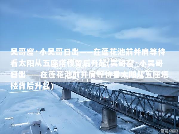 文章配图