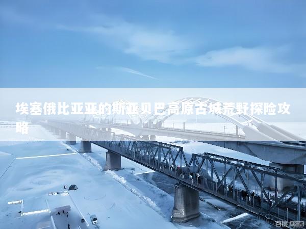 埃塞俄比亚亚的斯亚贝巴高原古城荒野探险攻略