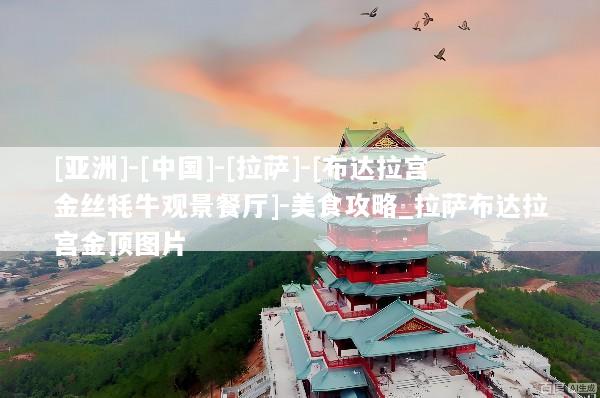 [亚洲]-[中国]-[拉萨]-[布达拉宫金丝牦牛观景餐厅]-美食攻略_拉萨布达拉宫金顶图片