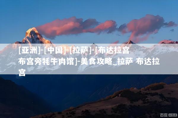 [亚洲]-[中国]-[拉萨]-[布达拉宫布宫旁牦牛肉馆]-美食攻略_拉萨 布达拉宫